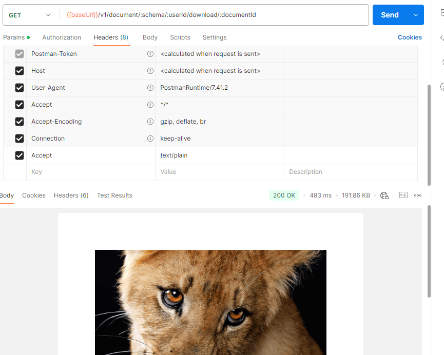 postman_download!